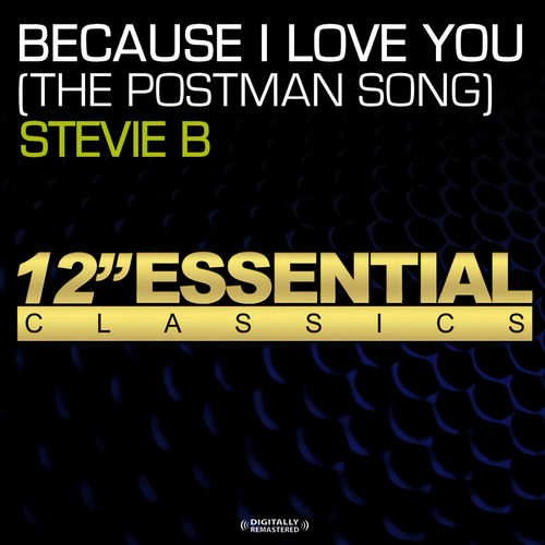 Capa de Because I Love You (The Postman Song)